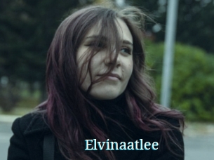 Elvinaatlee