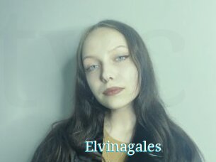 Elvinagales