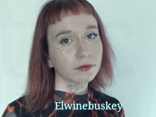 Elwinebuskey