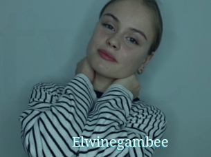 Elwinegambee