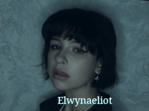 Elwynaeliot