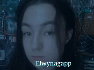 Elwynagapp