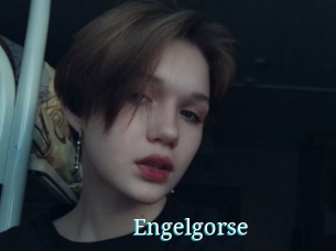 Engelgorse