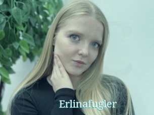 Erlinafugler