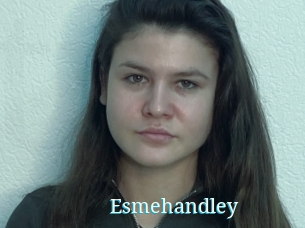 Esmehandley