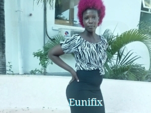 Eunifix