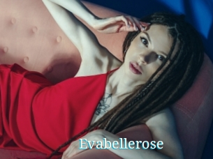 Evabellerose