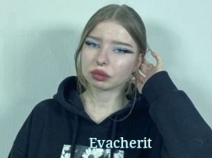 Evacherit