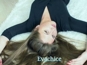 Evachice