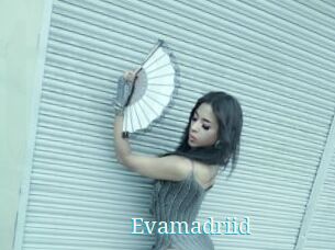 Evamadriid