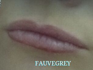 FAUVEGREY