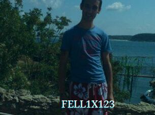 FELL1X123