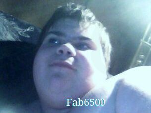 Fab6500