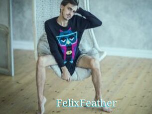 FelixFeather