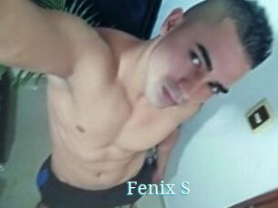 Fenix_S
