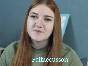 Falinecusson