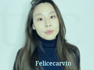 Felicecarvin