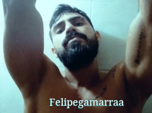 Felipegamarraa