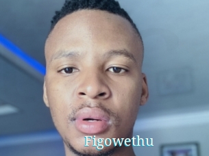 Figowethu