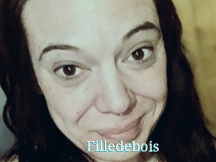 Filledebois