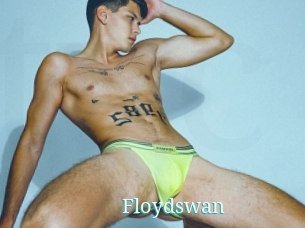 Floydswan