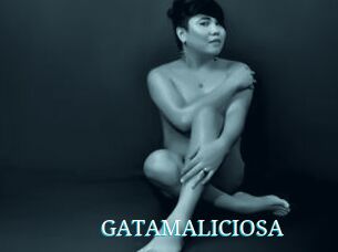GATAMALICIOSA