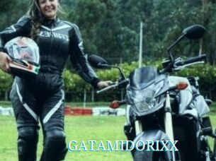 GATAMIDORIXX