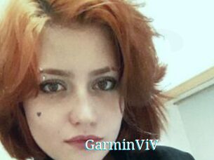 GarminViV