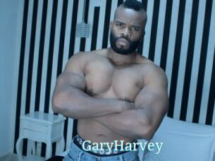 GaryHarvey