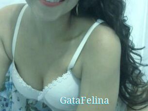 GataFelina