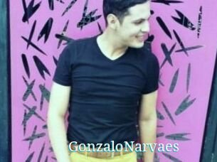 GonzaloNarvaes