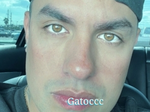 Gatoccc