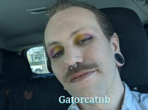 Gatorcatnb