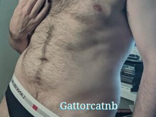 Gattorcatnb