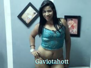 Gaviotahott