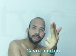 Gavril_morton