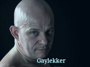 Gaylekker