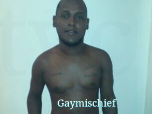 Gaymischief