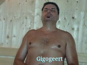 Gigogeert