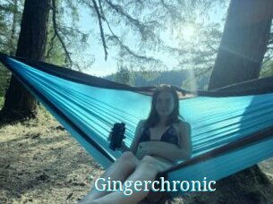 Gingerchronic