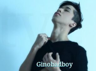 Ginobadboy