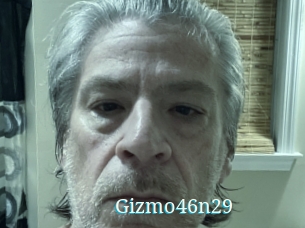 Gizmo46n29