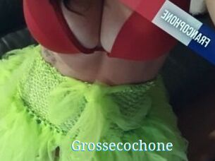 Grossecochone