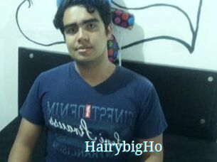 HairybigHo