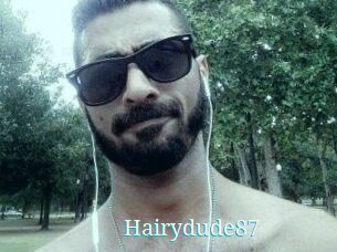 Hairydude87