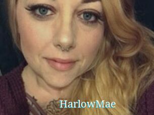 HarlowMae