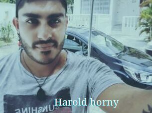 Harold_horny