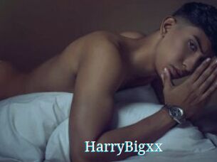 HarryBigxx