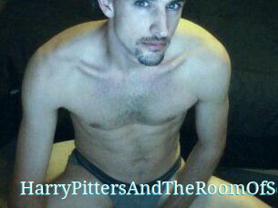 HarryPittersAndTheRoomOfSex