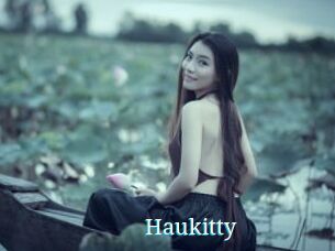 Haukitty